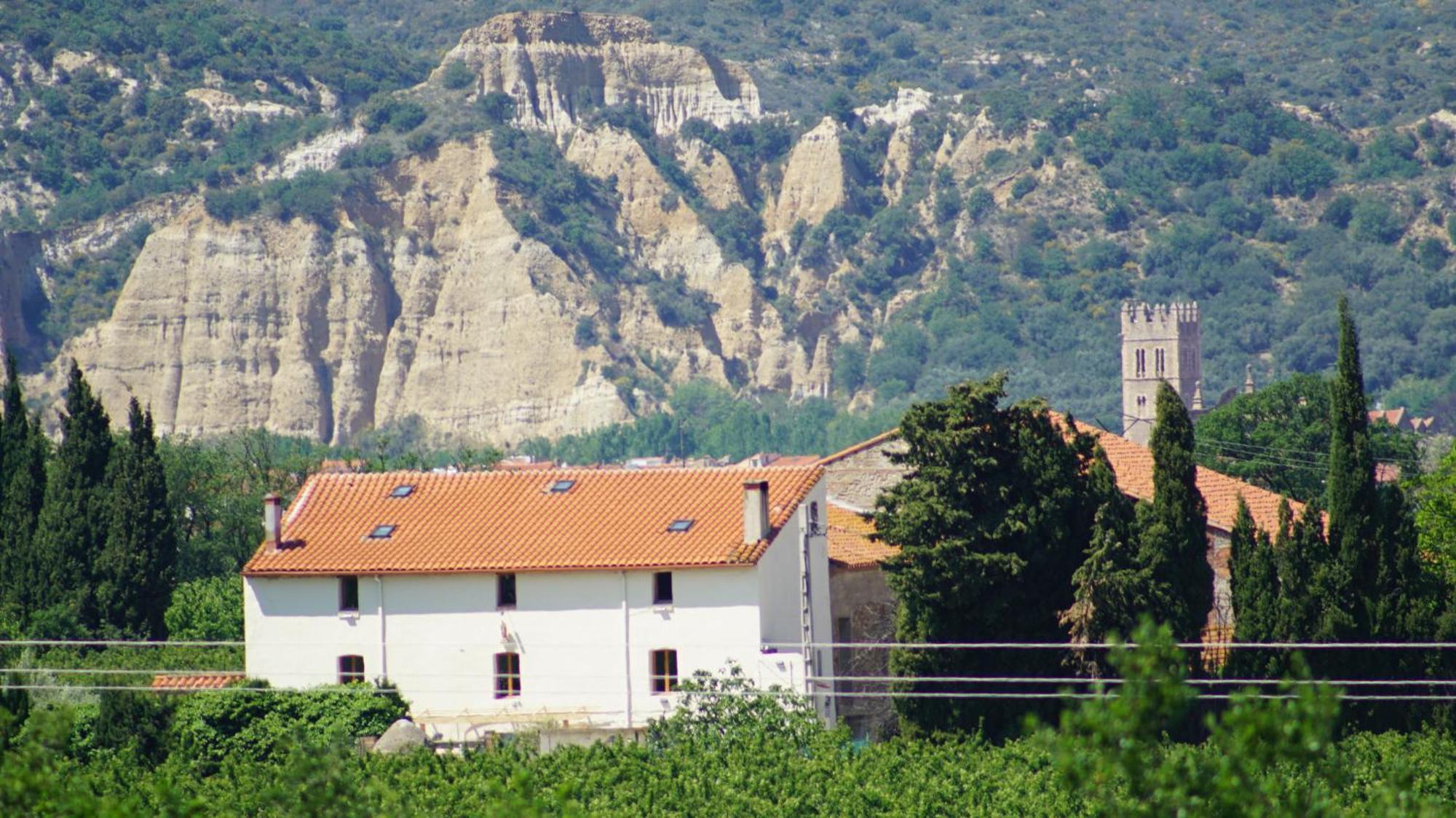 Mas St. Joseph Bed & Breakfast Ille sur Tet Bagian luar foto